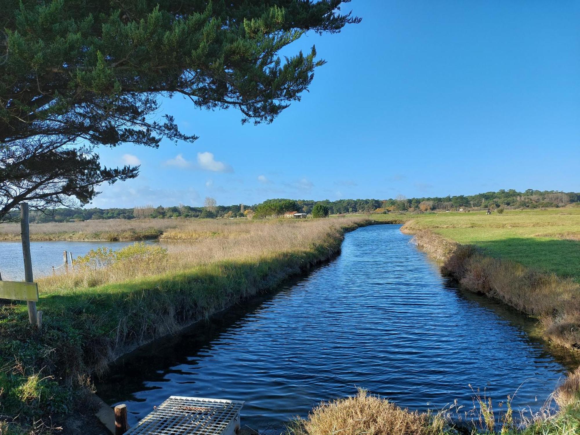 Studio La Salicorne Au Sables D'Olonne Les Sables-dʼOlonne Eksteriør billede