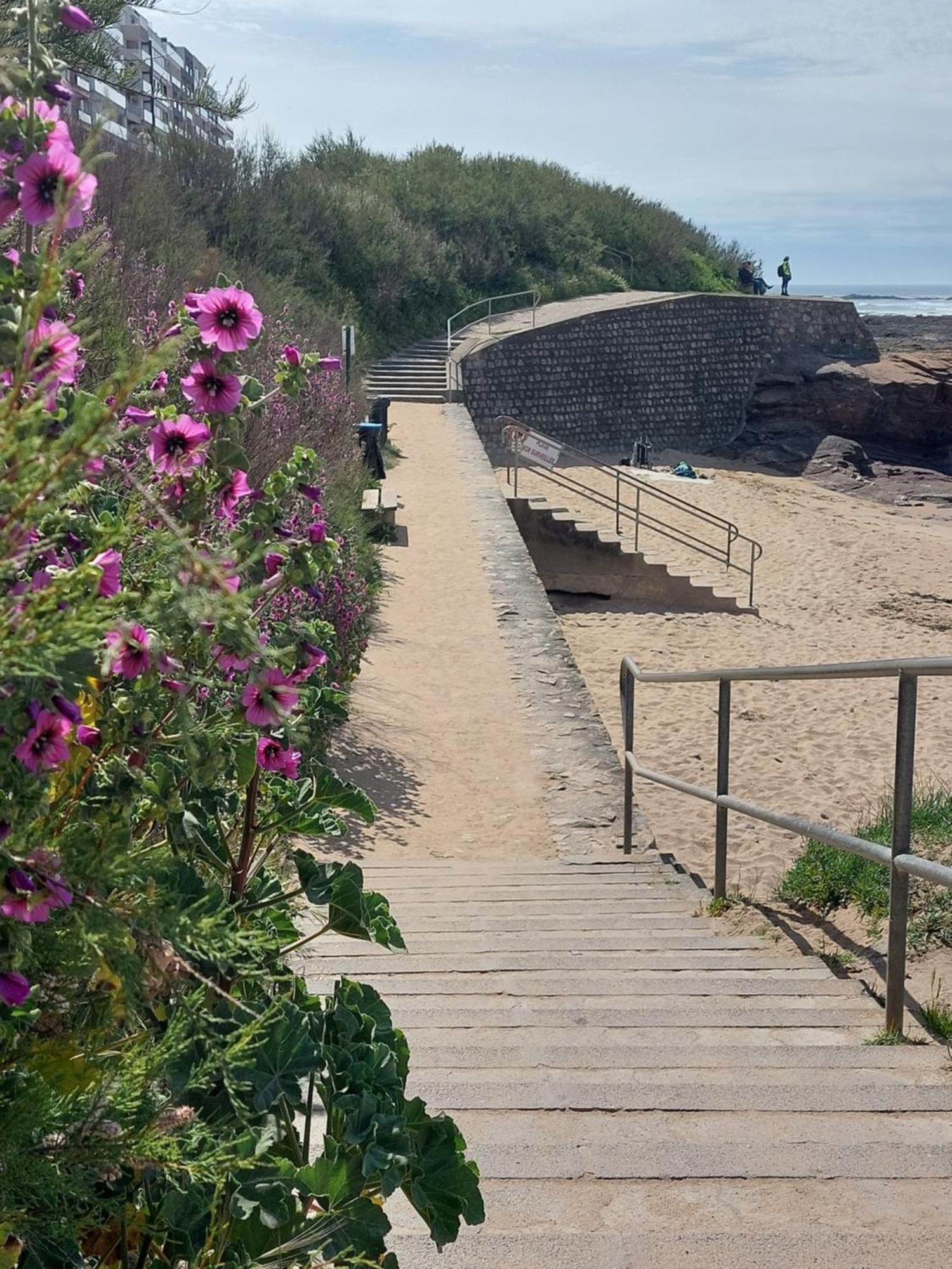 Studio La Salicorne Au Sables D'Olonne Les Sables-dʼOlonne Eksteriør billede